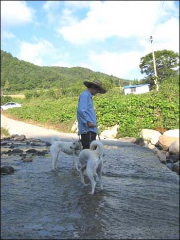 지난 가을 두 녀석과 다정히 산책할 때, 이때만 해도 두 녀석 다 이쁘게 보였다. 